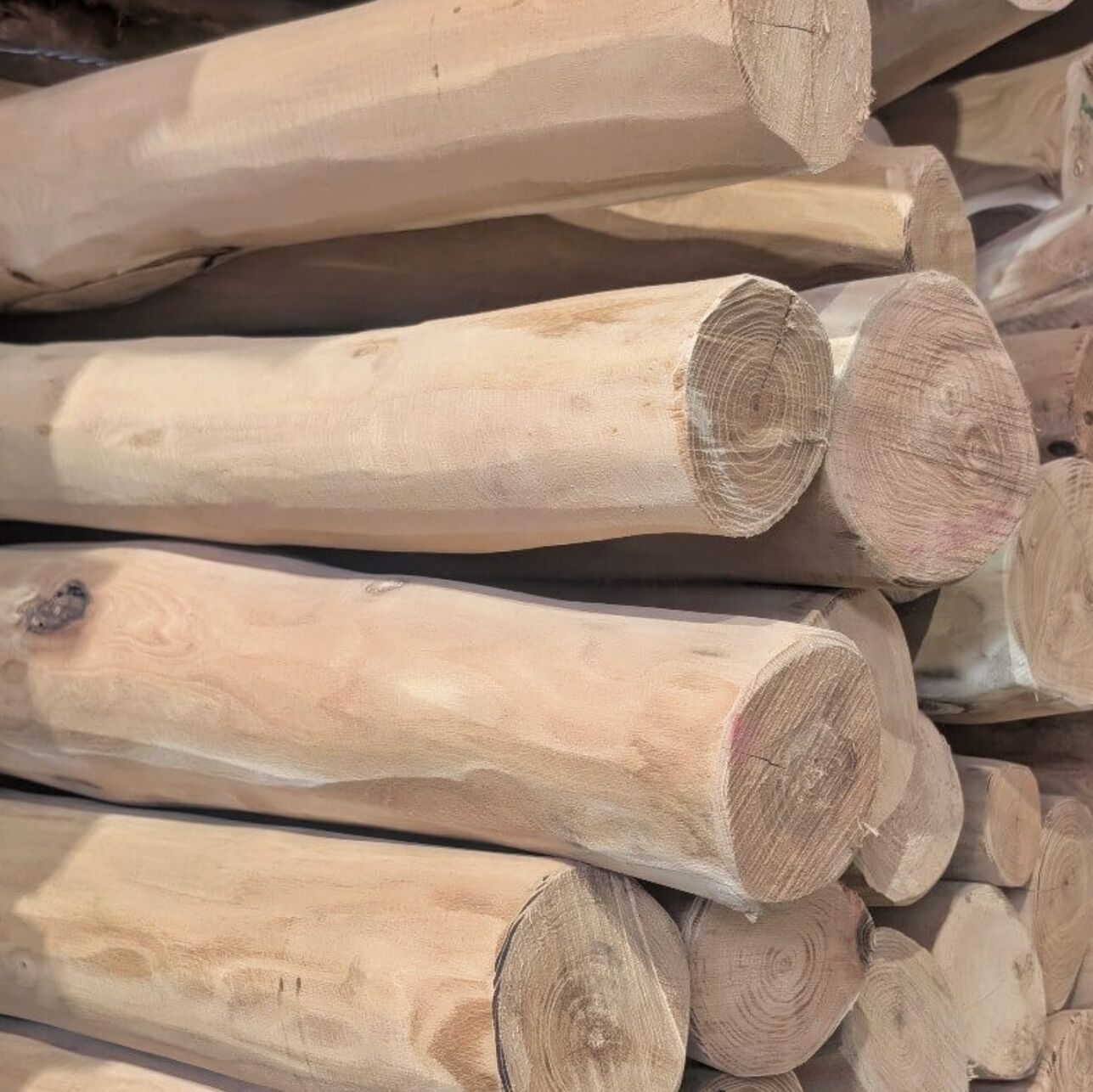 Stokker av robinia (akasie)